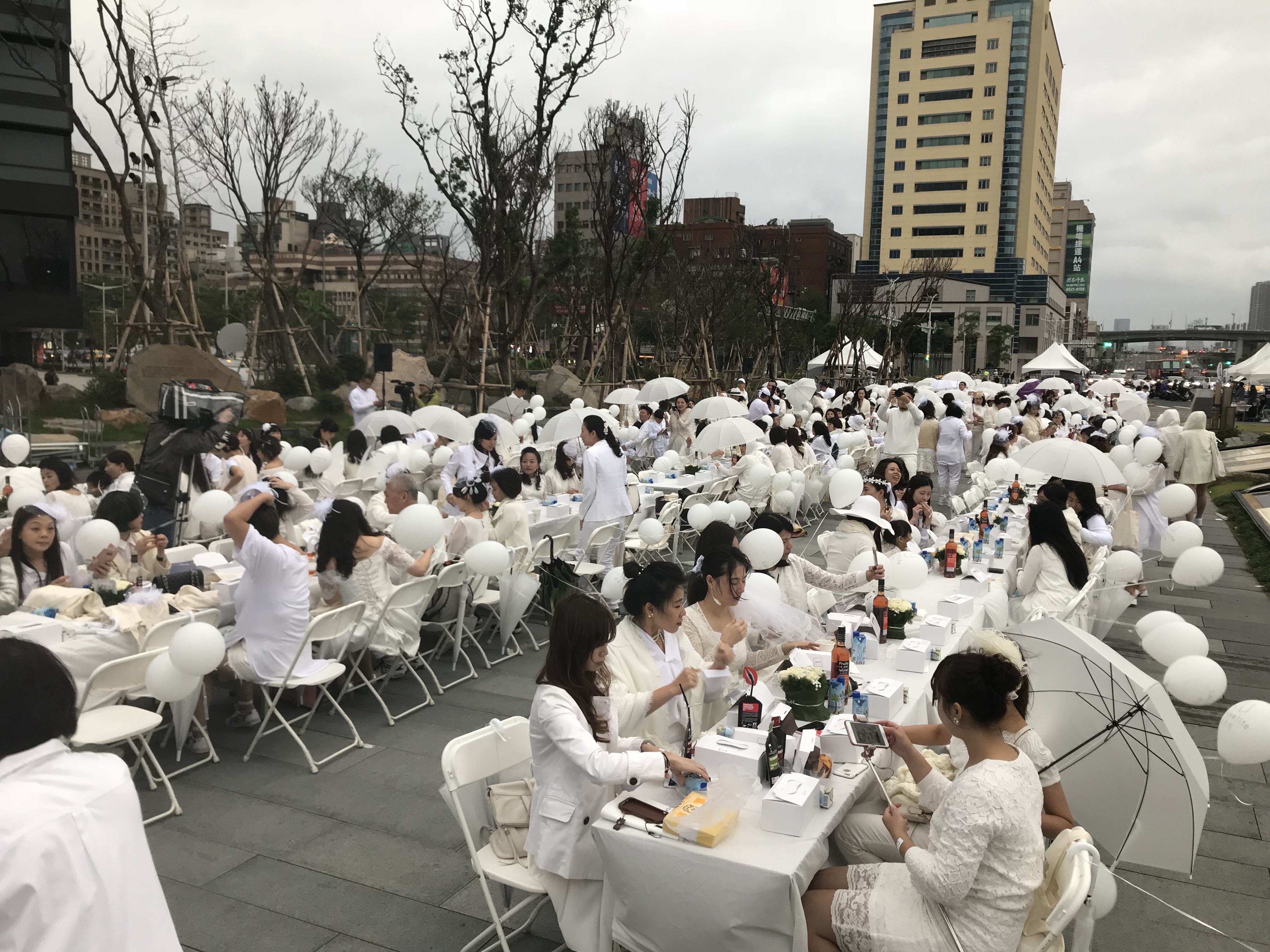 白色野餐1