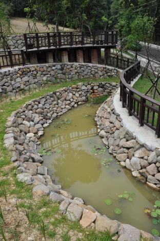 親山路網體驗臺北小溪頭之美6