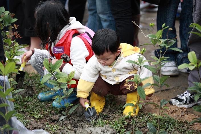 植樹照片2