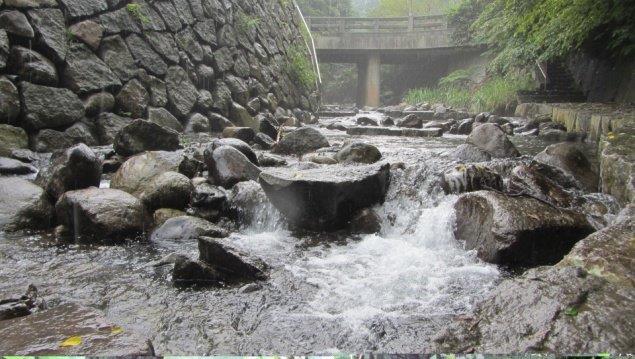 菁礐溪整治有成「溯溪」親水新秘境_照片6