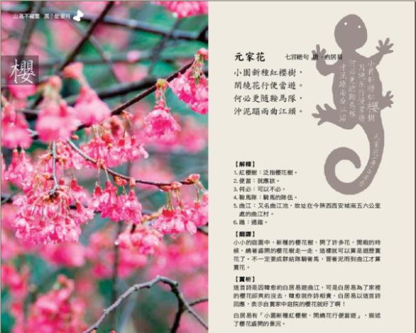 櫻花文學詩詞解說