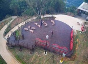 搭貓纜下望情人聖地「KISS」密碼