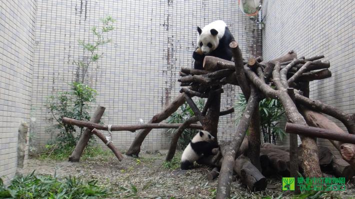 媽媽等我