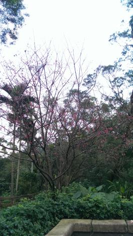 虎山溪步道