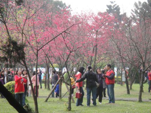 大溝溪溪畔步道