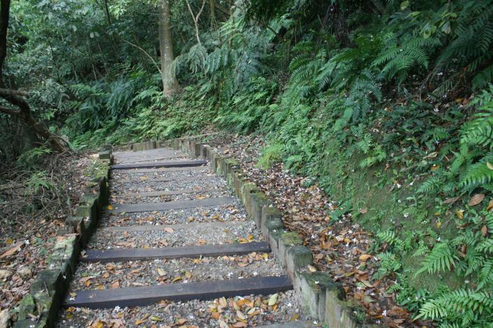 碧溪步道
