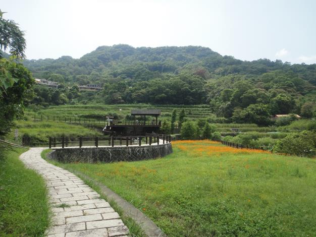 遠望梯田茶園