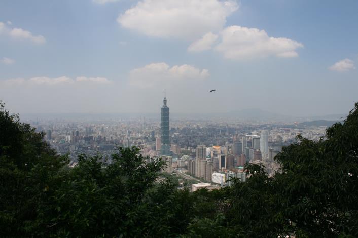 九五峰-臺北市景