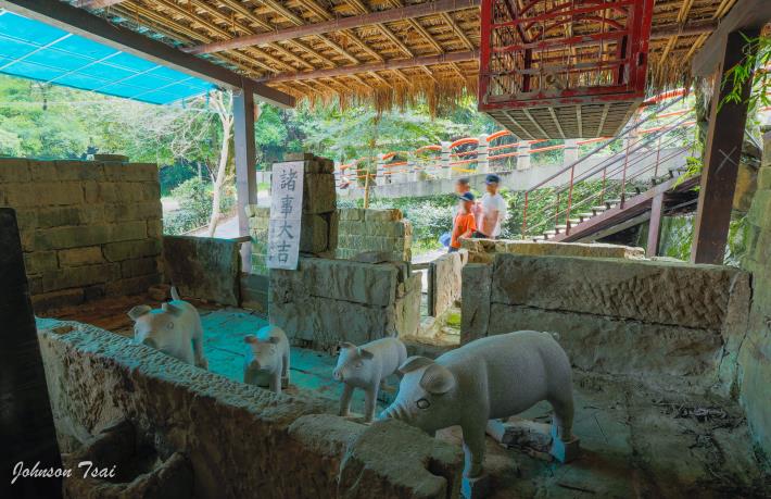 樟樹步道茶香豬舍