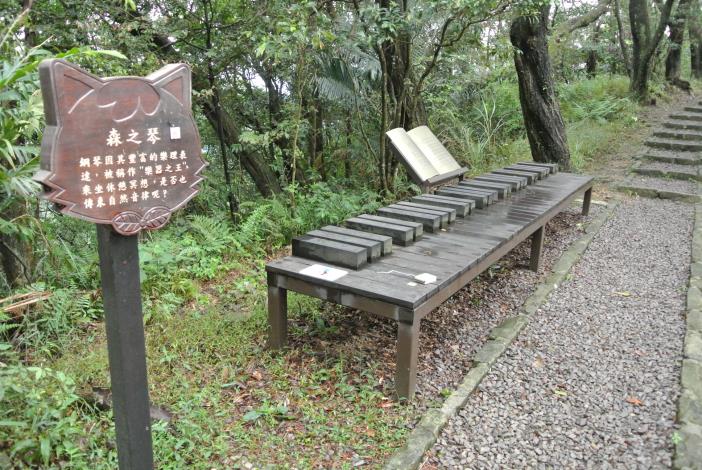 樟湖步道森之琴