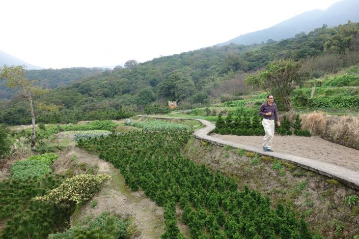 湖山路二段到底的苗圃梯田區,沿途種植著五葉松、杜鵑花、茶花苗