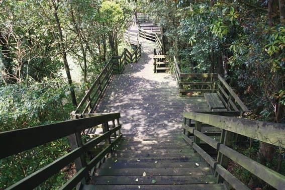 示範茶廠環山步道1