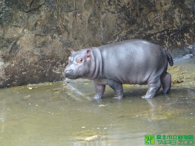 娜竹忠雨