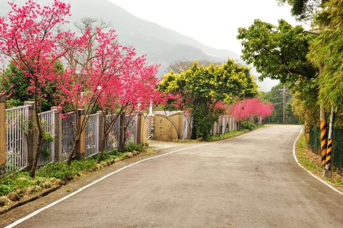 碧溪產業道路沿線