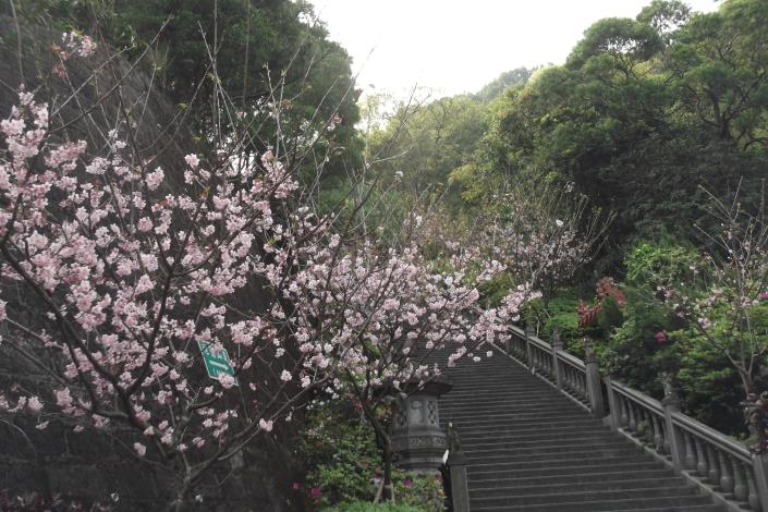 碧山巖步道