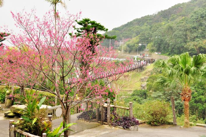 白石湖吊橋