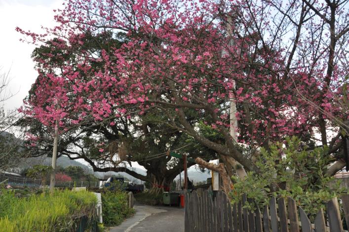 風尾步道