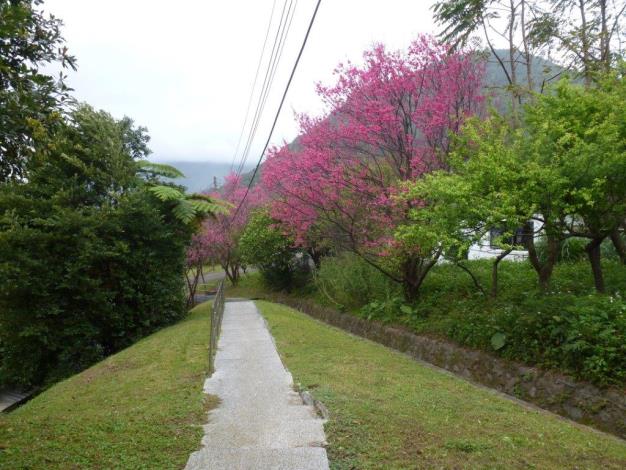 水管路步道