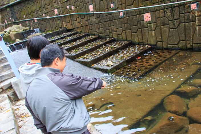 溪溝中生態豐富，訴說兒時回憶