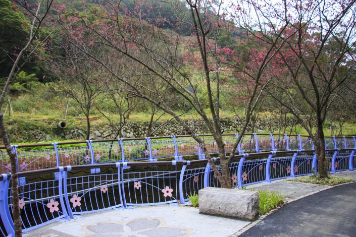 於觀景平台上賞櫻聽潺放鬆休憩