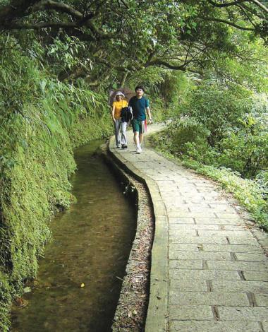 坪頂古圳親山步道