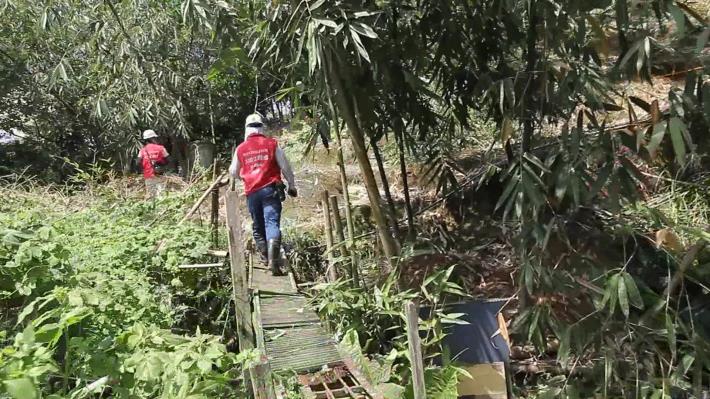 巡勘技師穿梭在竹林