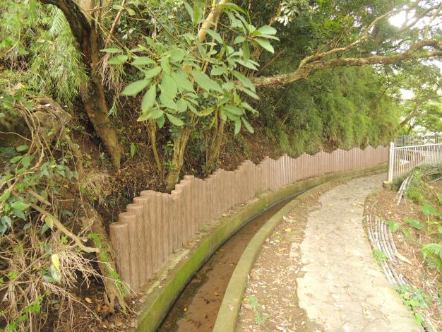 貴子坑親山步道