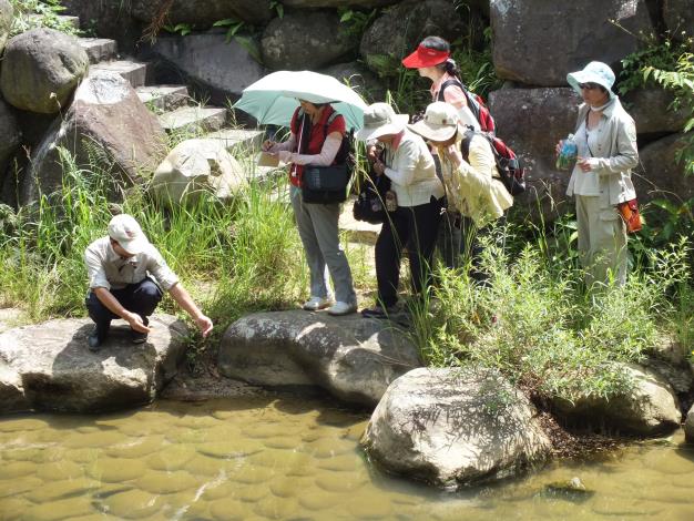 挖掘溪流中的寶藏