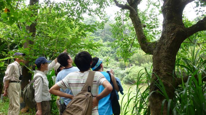 發現昆蟲新樂園