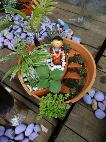 小盆器容納動植物