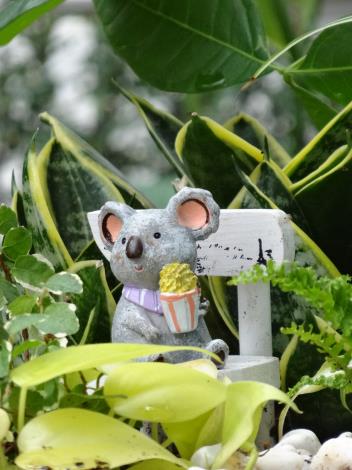 無尾熊也來湊熱鬧