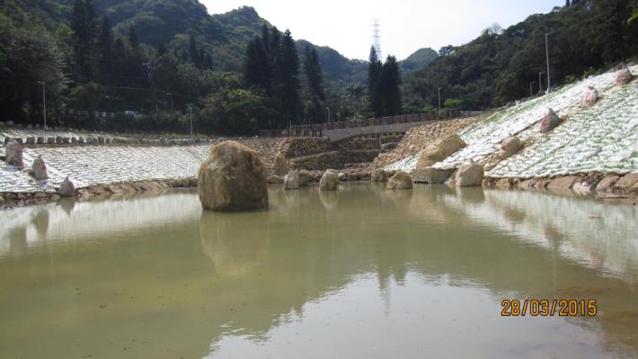 金瑞治水園區 生態池池底