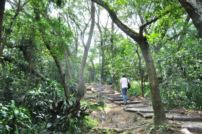 在地自然材料修築步道