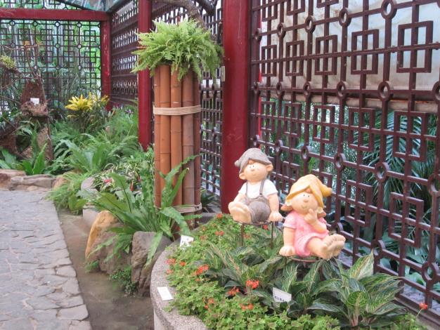 彩葉植物適合居家布置