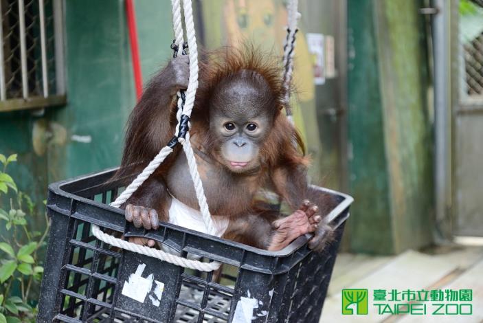 不同的訓練工具