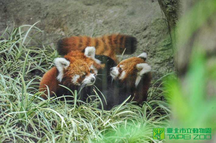 玩在一起