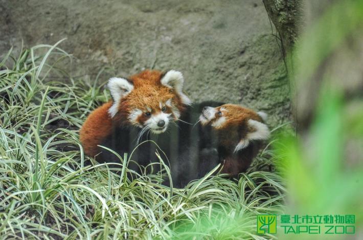 玩得很開心~