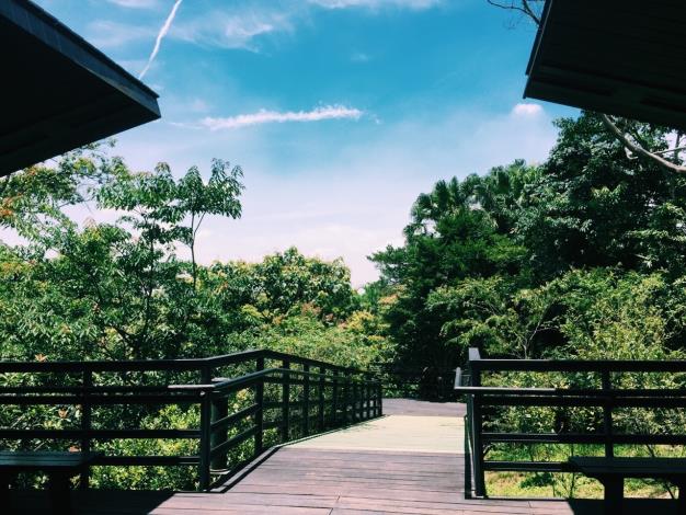 藥用植物園木棧道