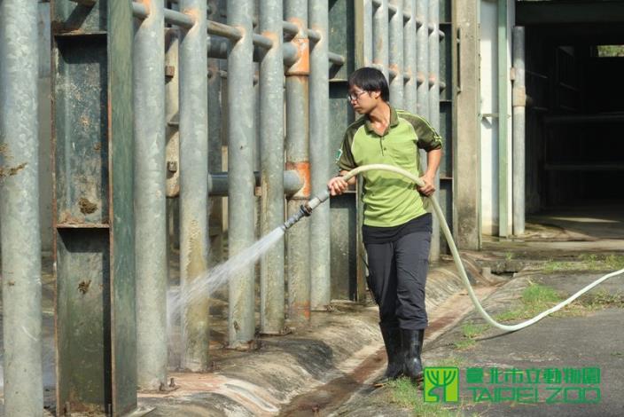 第一次接觸大象的保育員方建華
