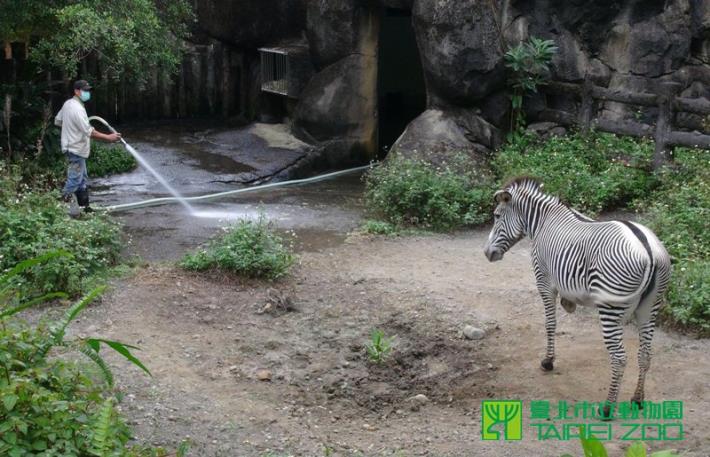 天天見面還是保持距離