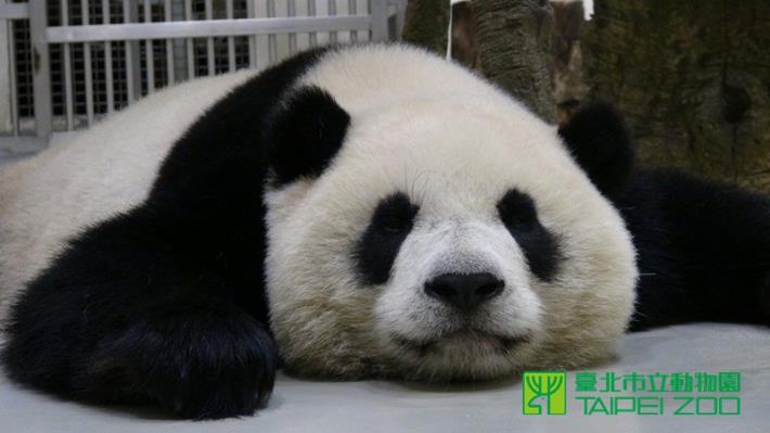 等待排便中