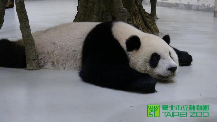 昨天晚上等待排便