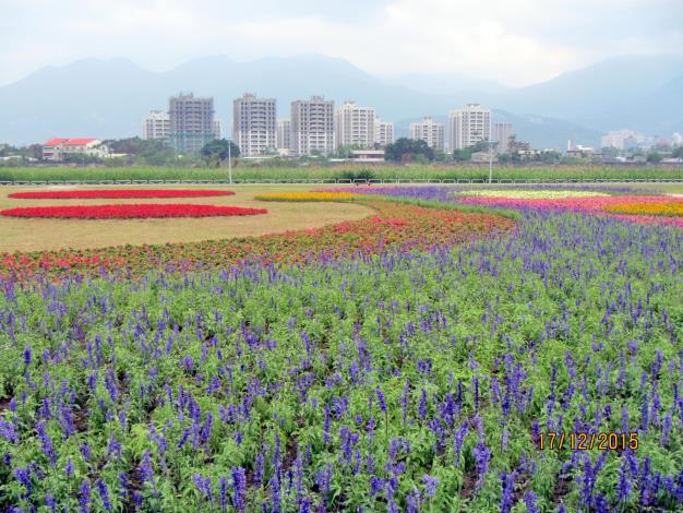 百齡左岸河濱公園可欣賞大花海