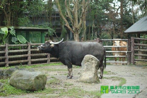 回兒童區的家休息