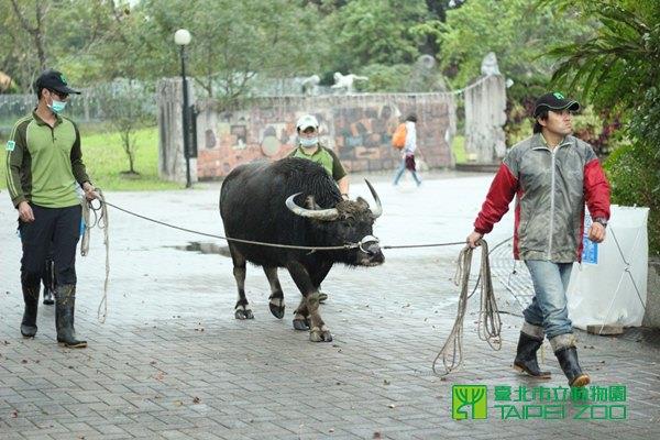 工作完畢要回家