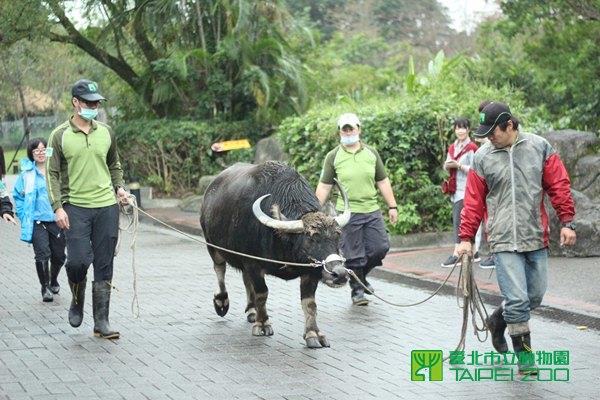 玩了一天準備回家
