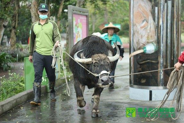 今年第一天到濕地玩得不亦樂乎
