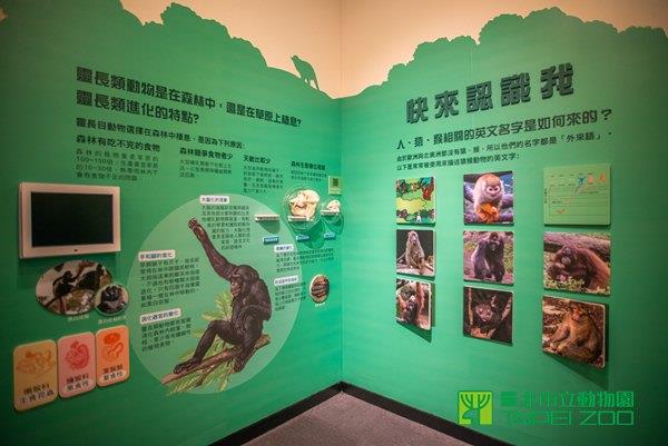 猴年特展一角