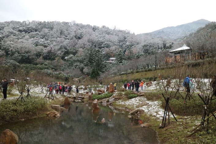 櫻花溪流區遇到寒流出現難得一見雪景