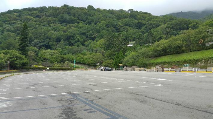 柏油路變成櫻花溪流區